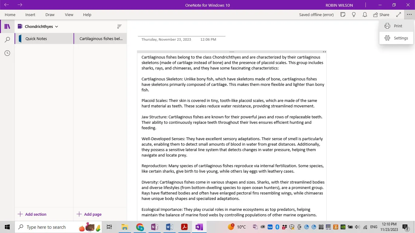 OneNote in PDF exportieren Drucken