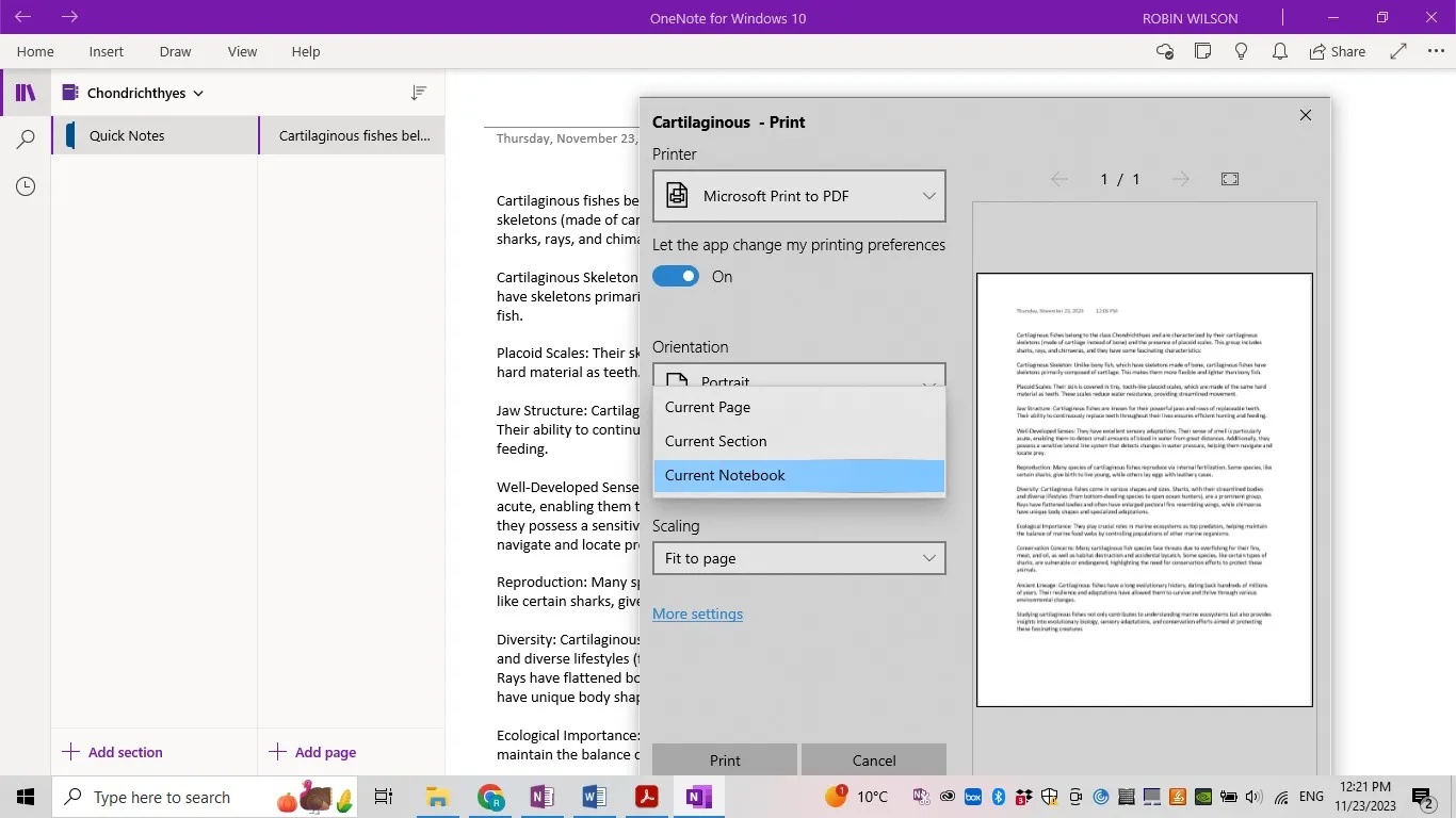 export OneNote to PDF printing