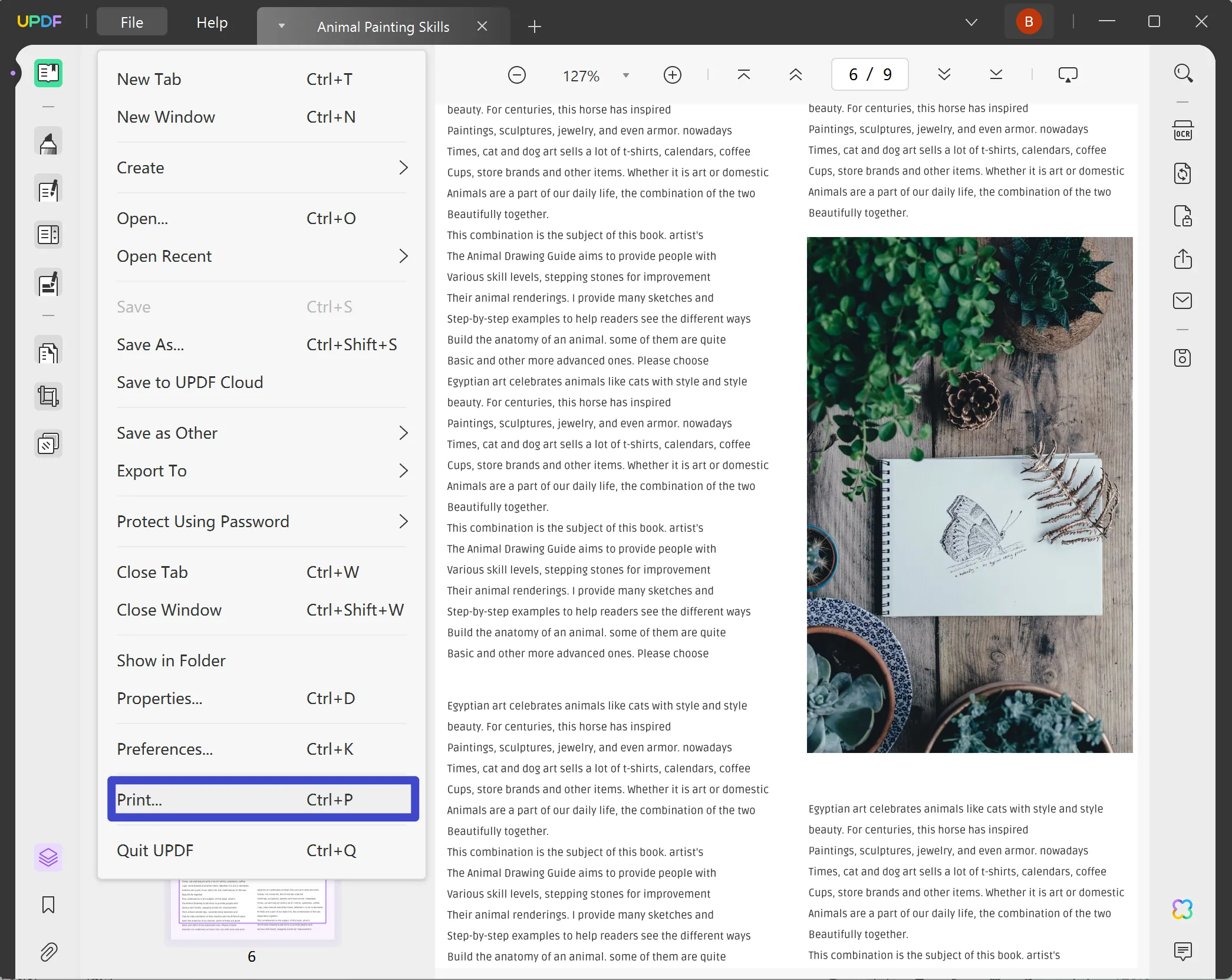 open print settings updf