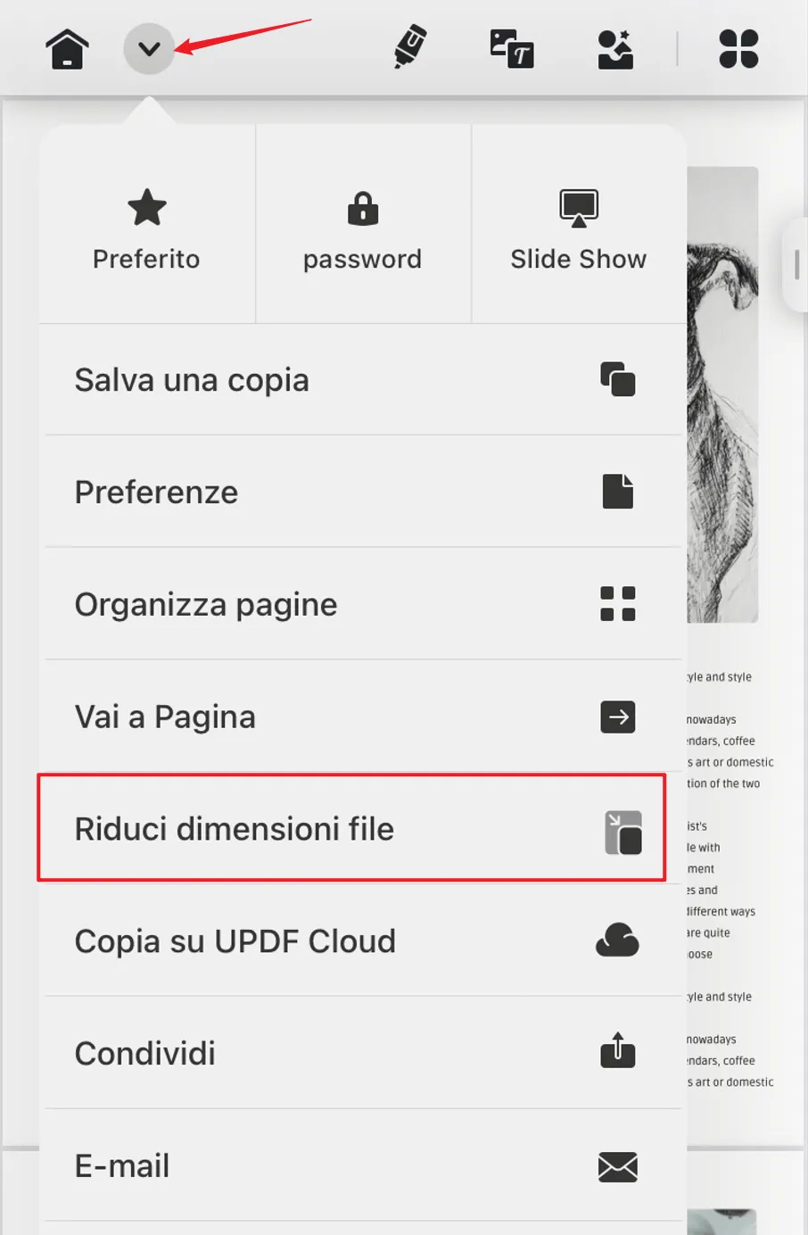 Riduci dimensione file