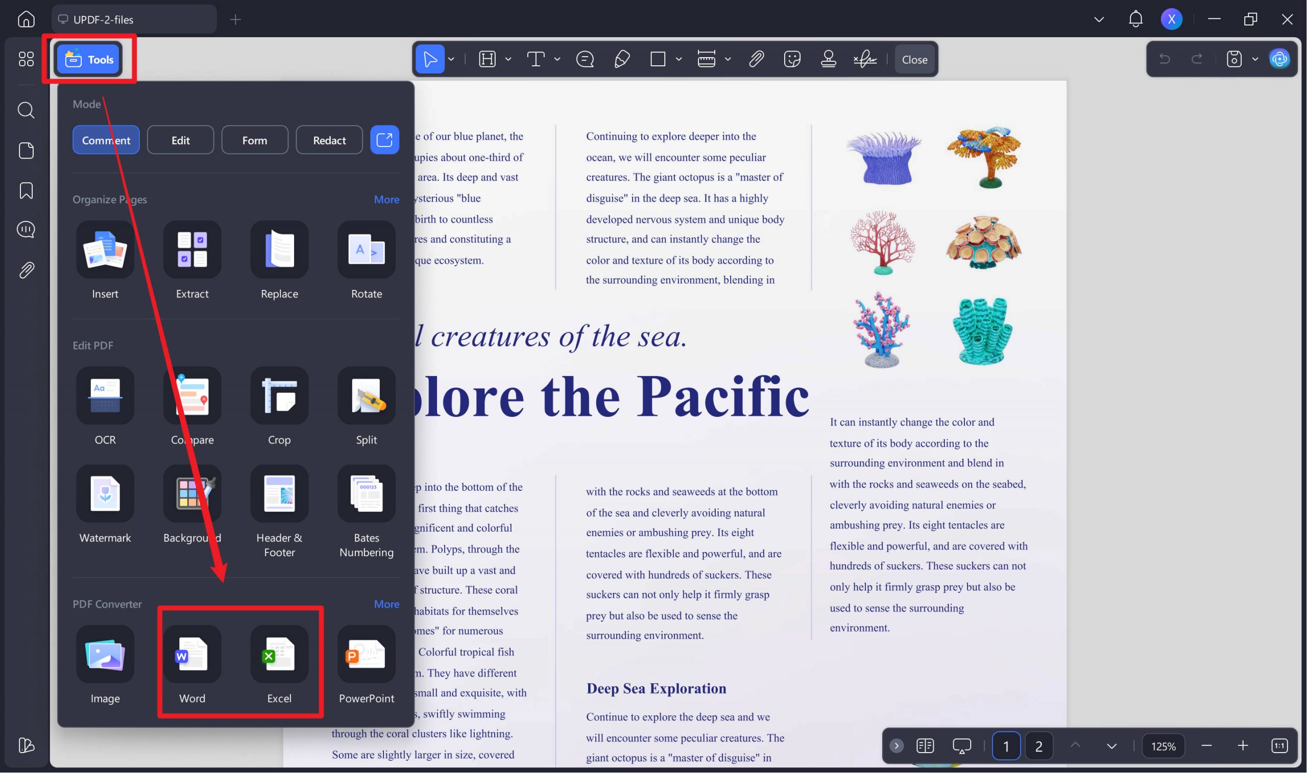 difference between ms word and excel export to excel and word