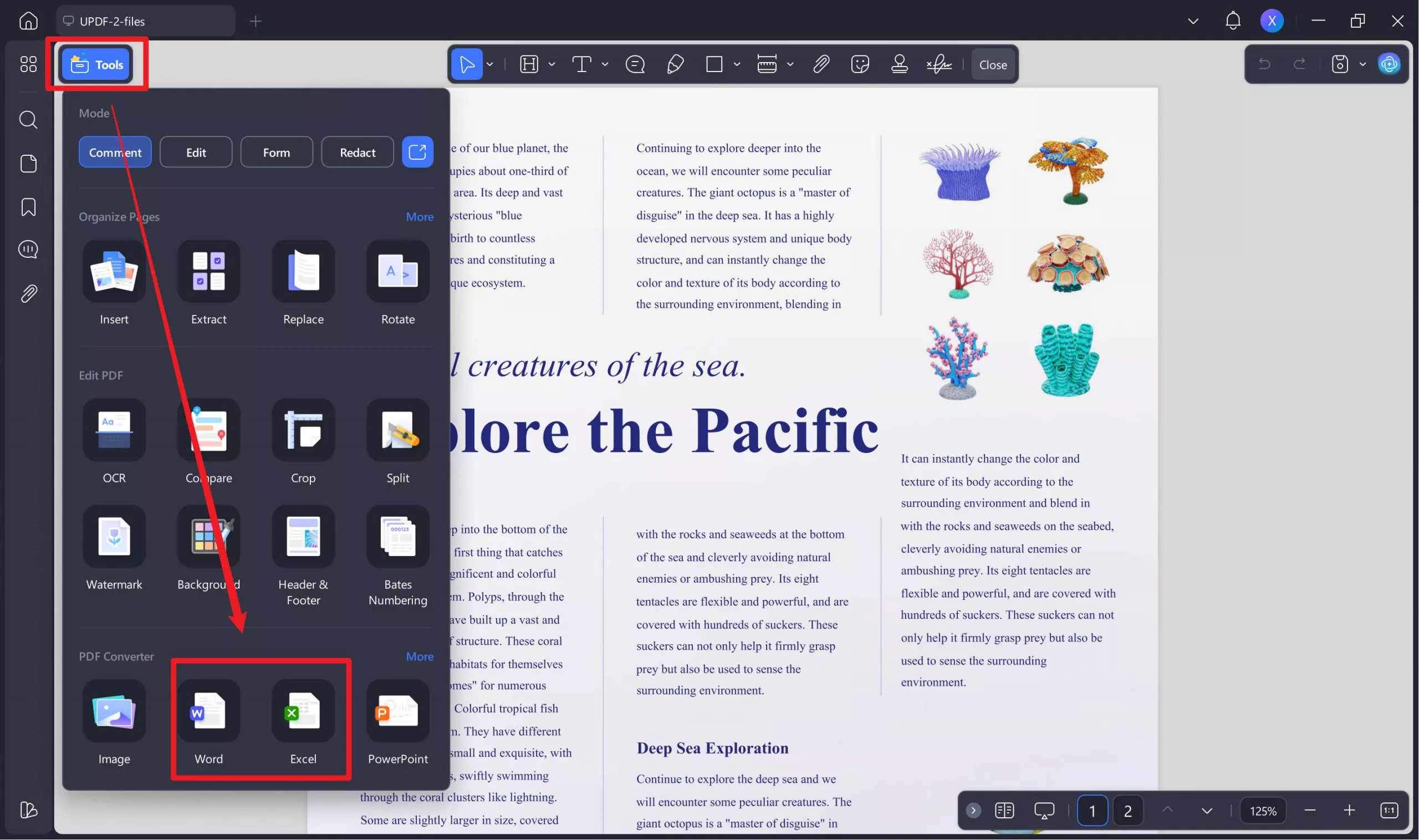 difference between ms word and excel export to excel and word