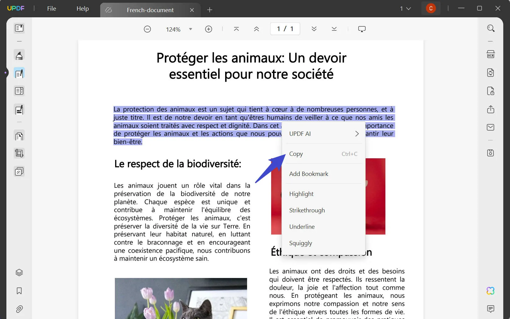 نسخ نص من ملف PDF باستخدام UPDF لترجمة PDF من الفرنسية إلى الإنجليزية