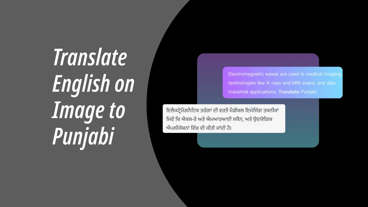 2 Methods to Translate English Text to Punjabi from Photos