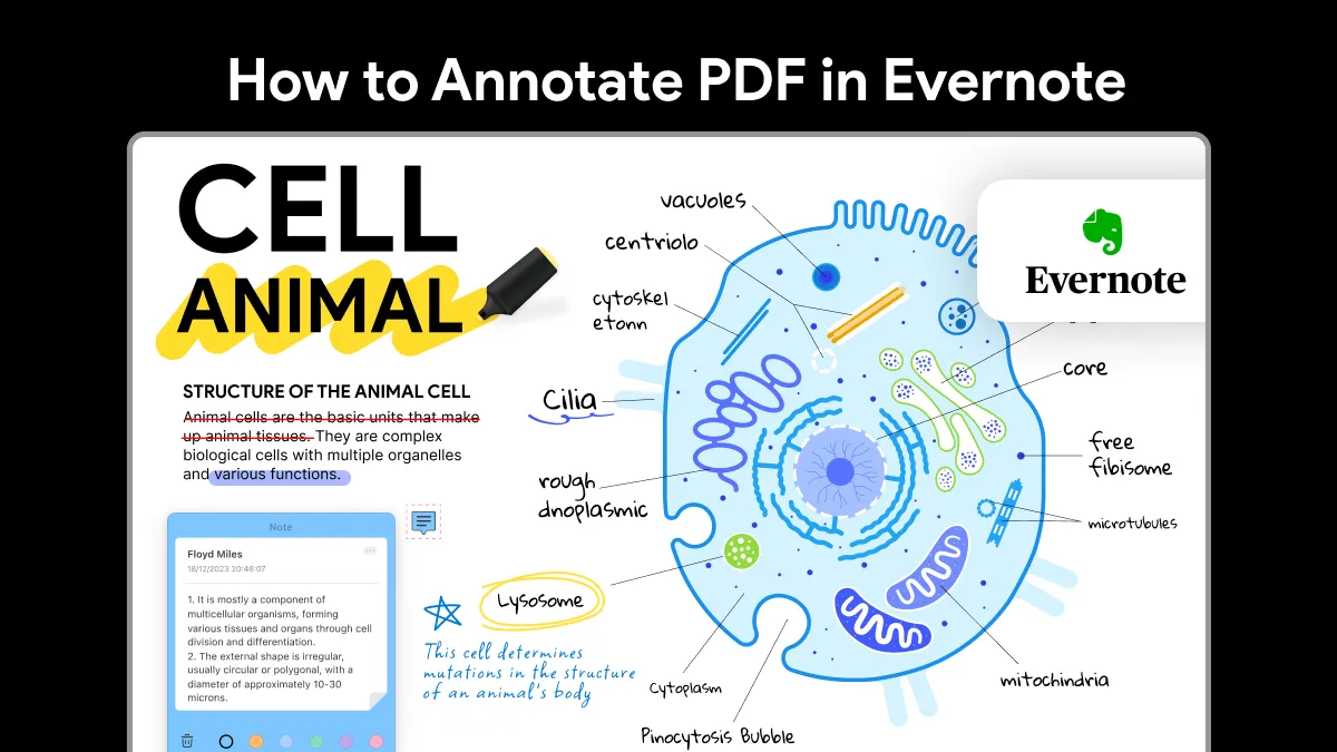 Exploring Evernote PDF Annotation: Evernote's Capabilities vs. UPDF's Advanced Tools