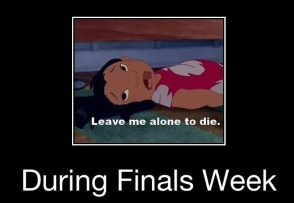 finals memes funny memes during finals