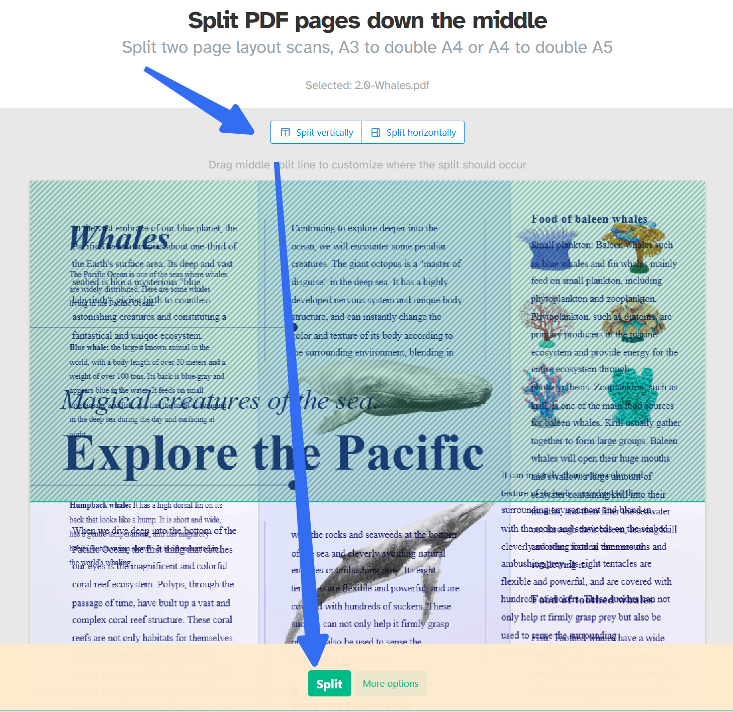 split pdf page in half online