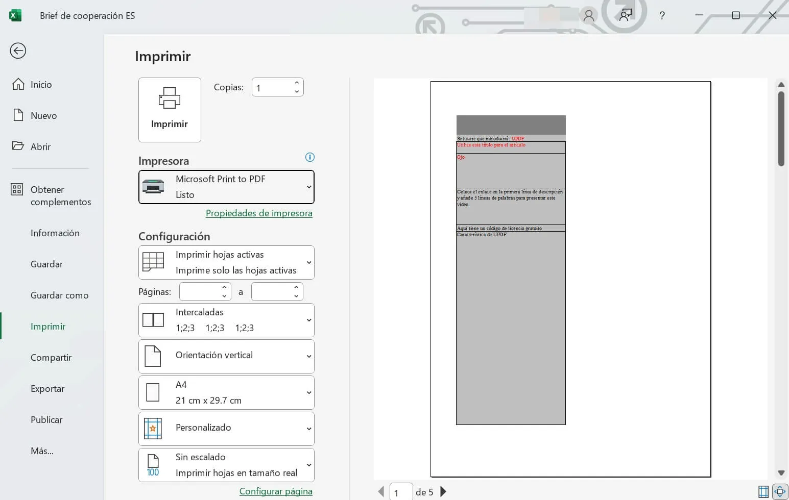 print ms excel to pdf