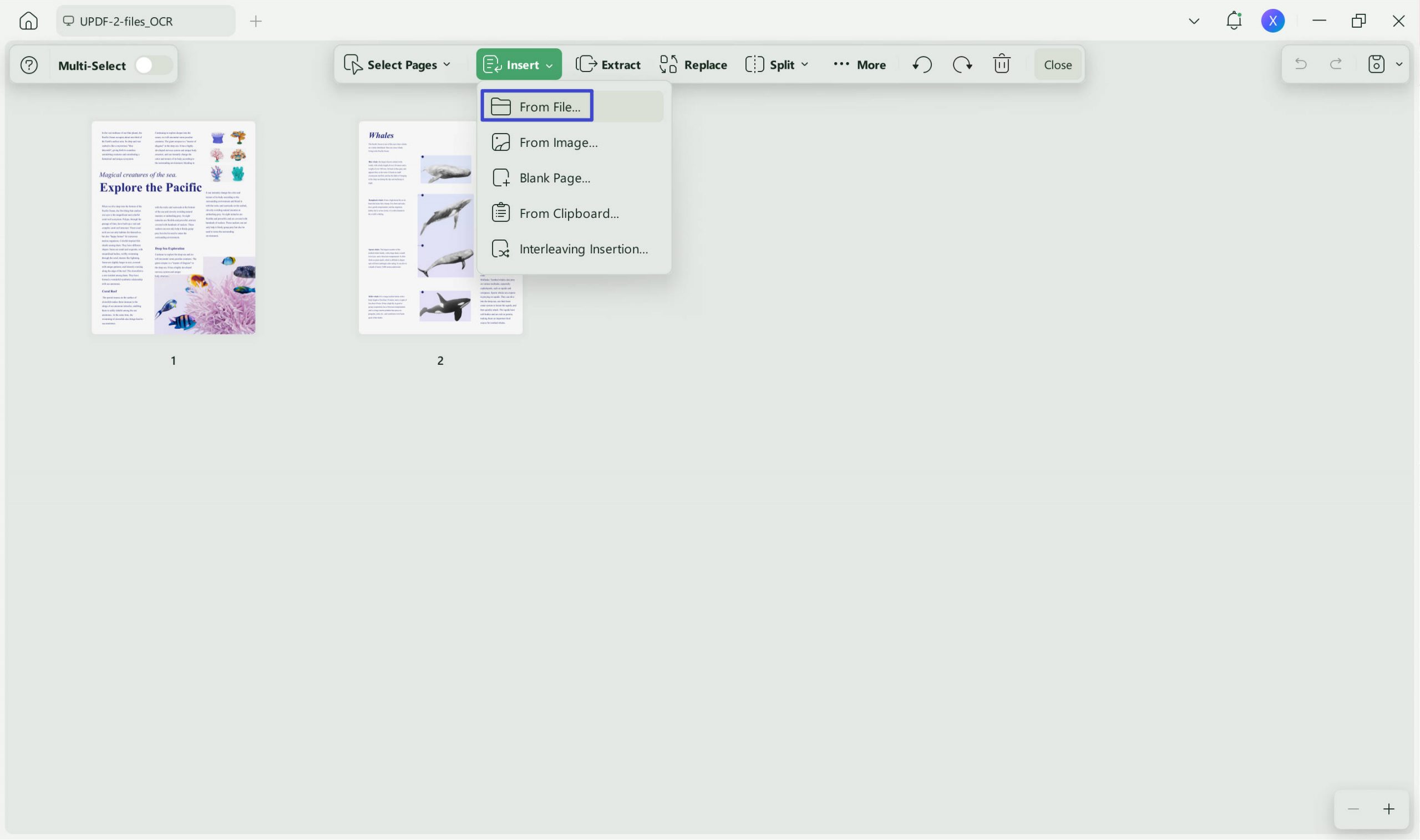 steps of insert from file