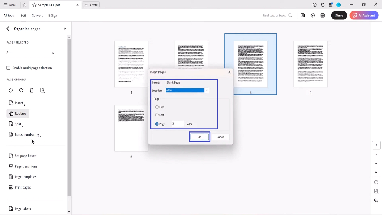 set blank page location acrobat
