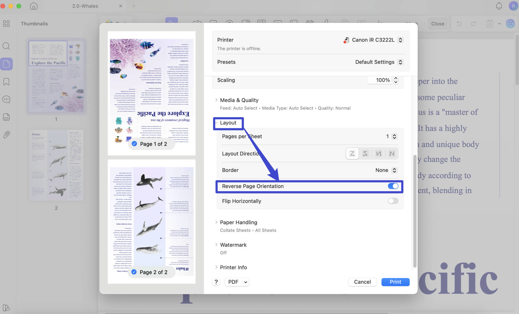 reverse order of pdf pages updf print settings
