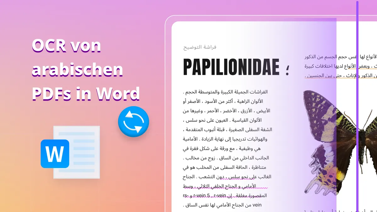 OCR von arabischen PDFs in Word - eine detaillierte Anleitung