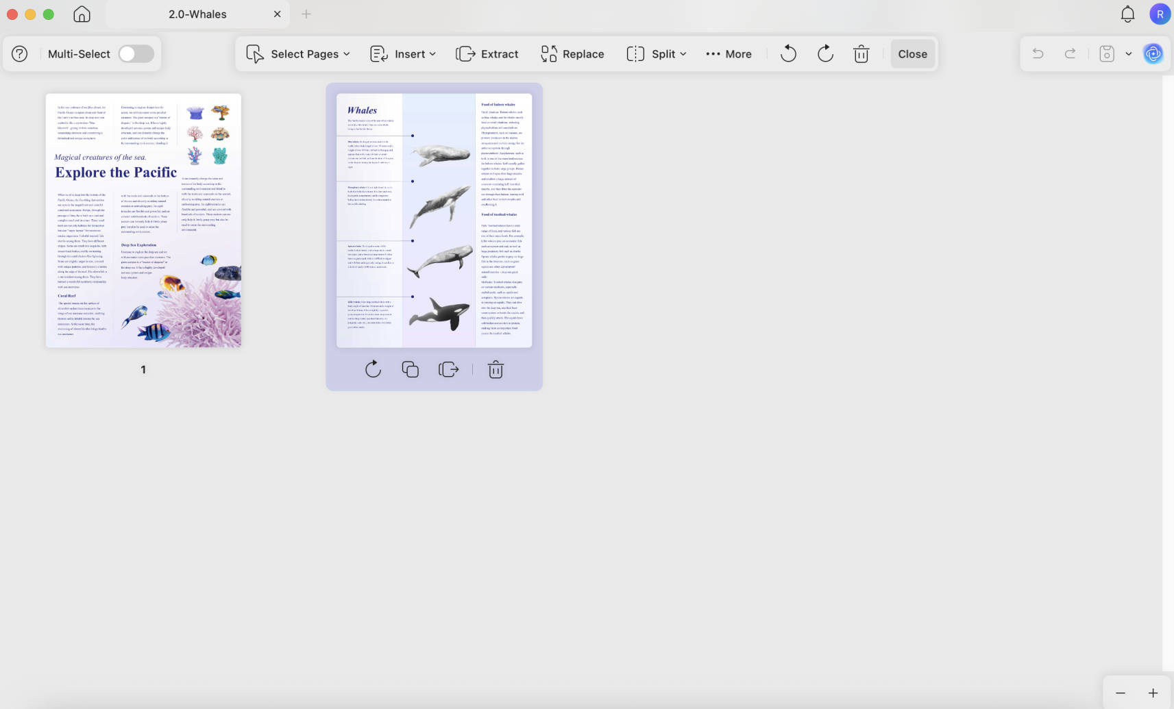 reverse order of pdf pages updf organiza pages