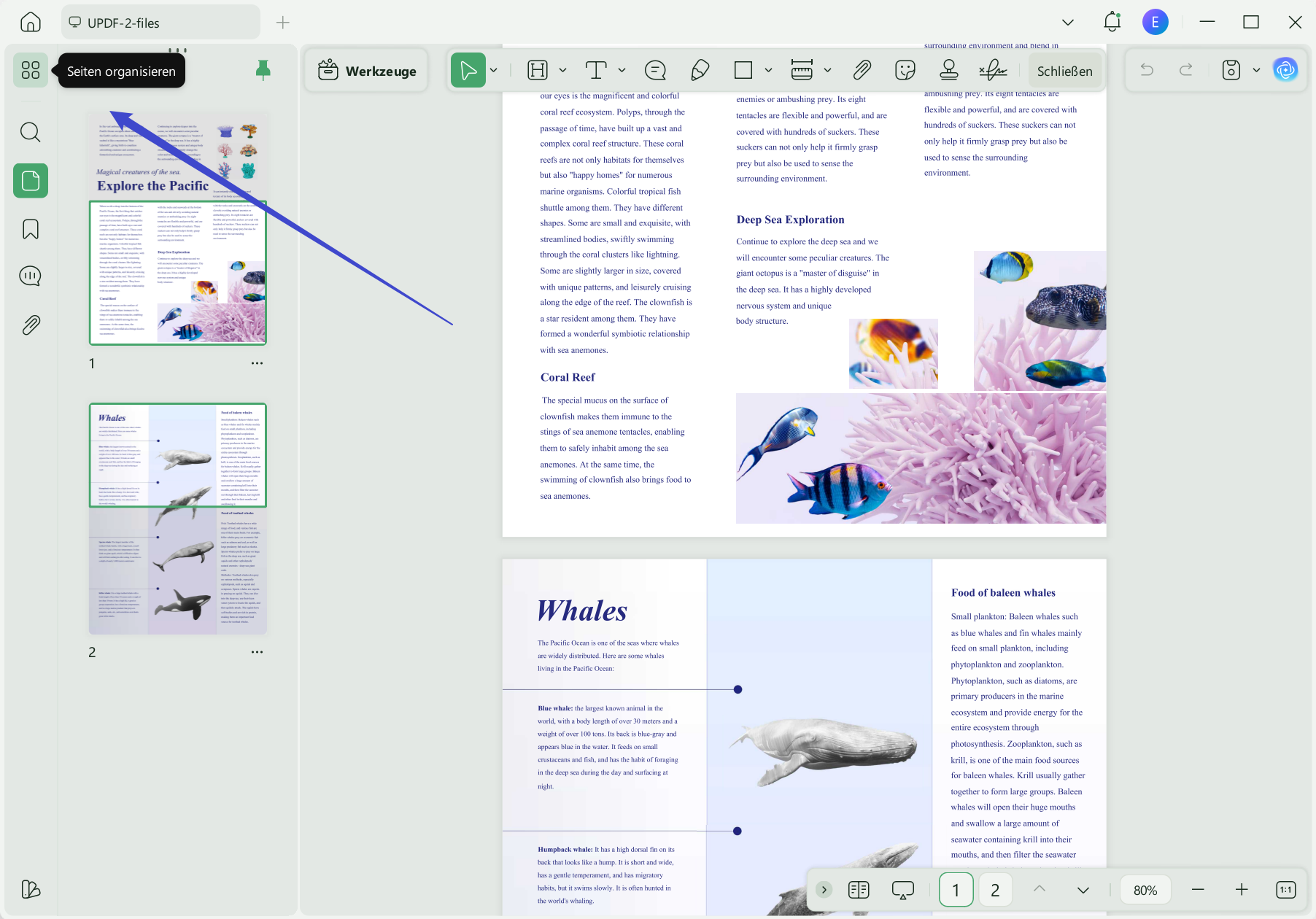 Arabische PDF Seiten organisieren