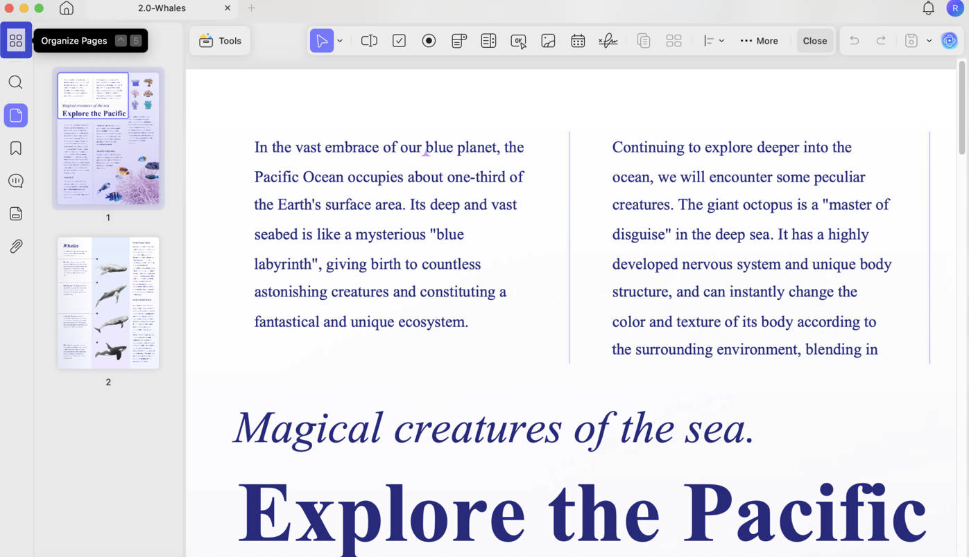 reverse order of pdf pages updf organize page icon mac