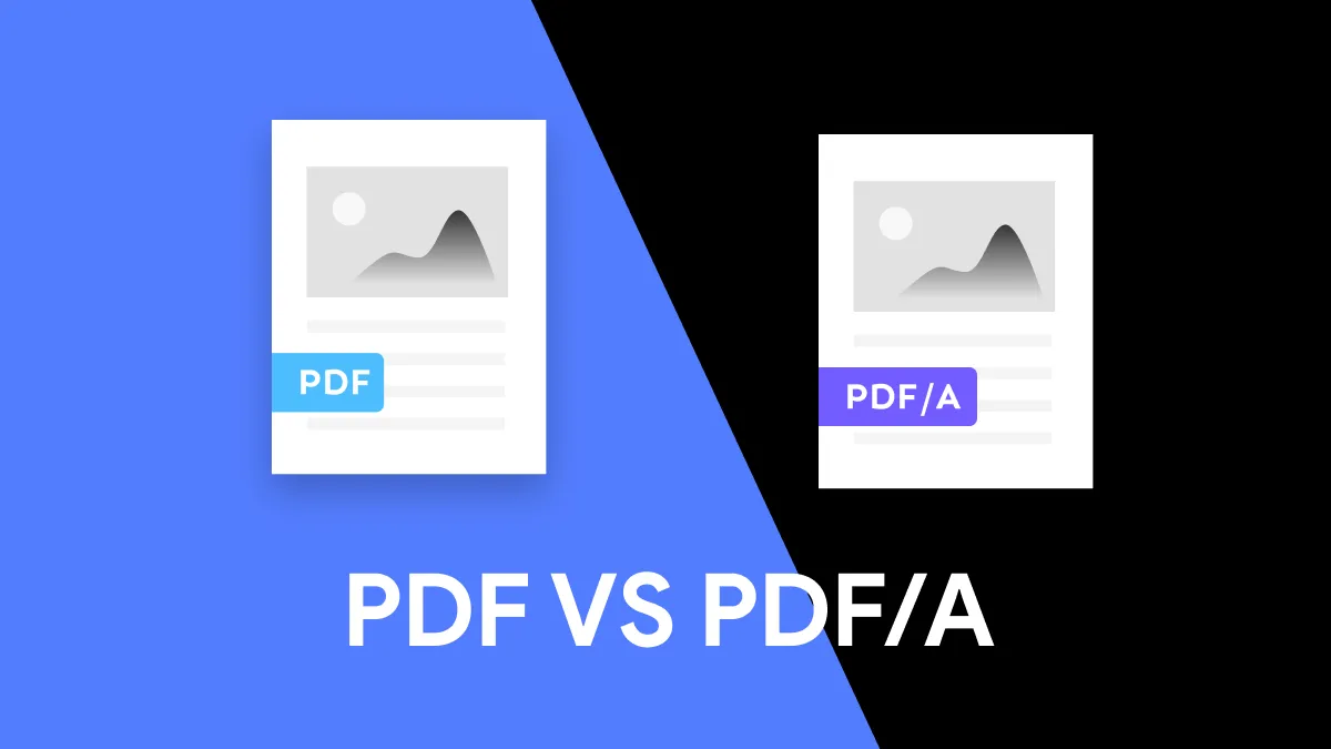 PDF vs PDF/A: Understanding The Differences | Your Guide to PDF/A Document Formats  