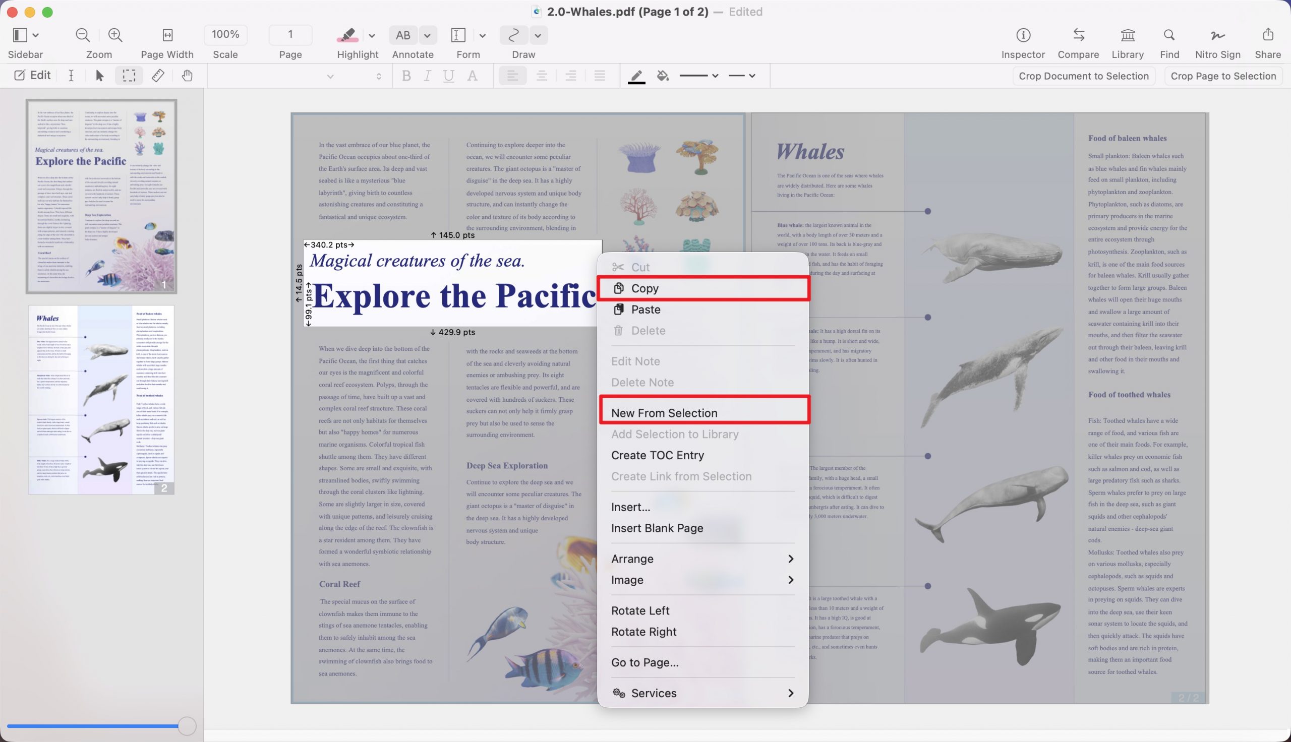 snapshot on nitro pdf pro