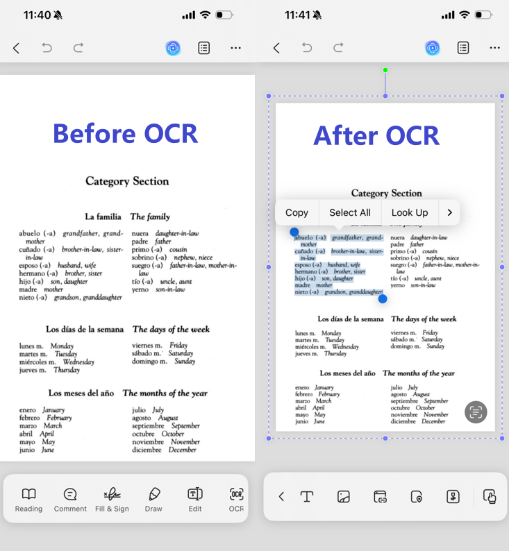 spanish ocr on ios