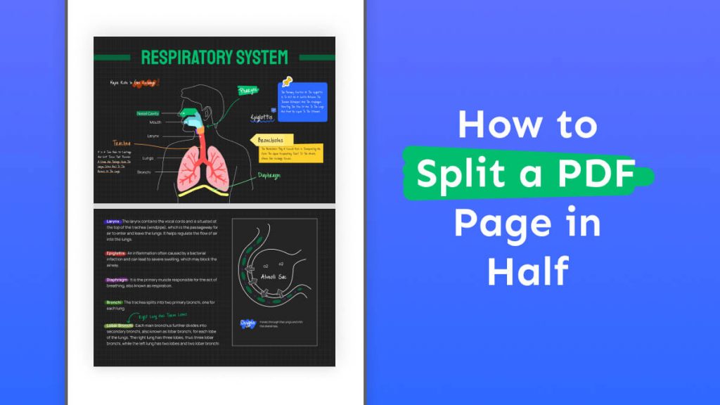 Can You Split A Pdf Page In Half