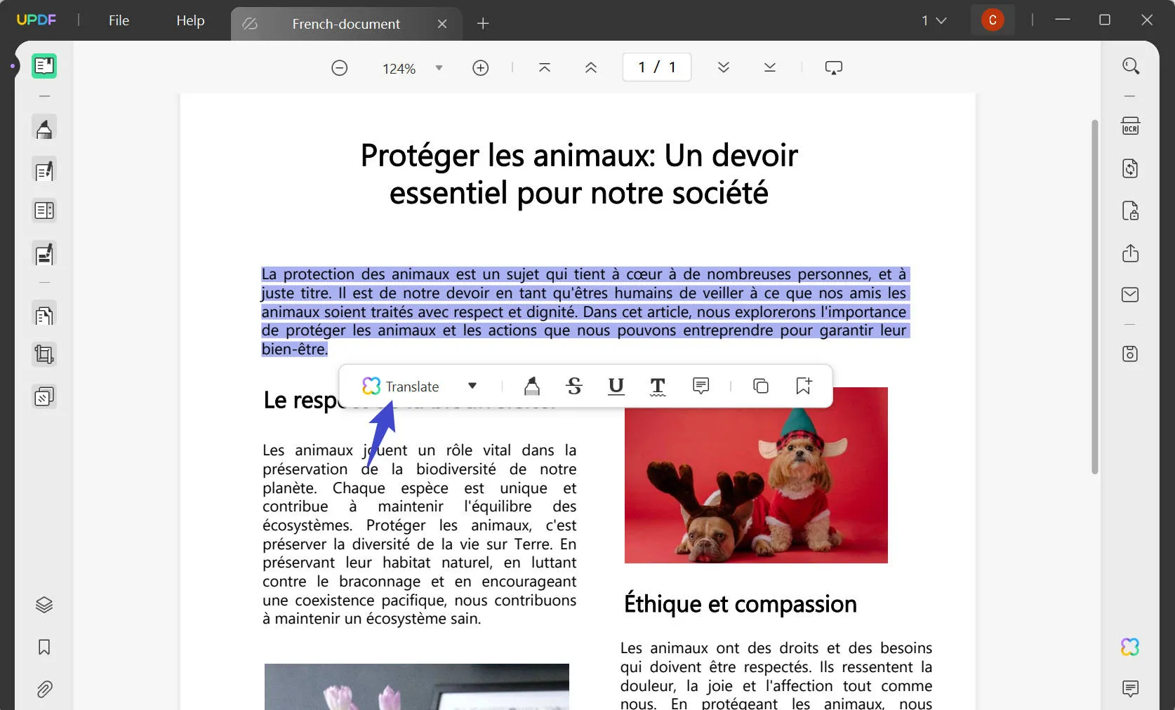 translate pdf from french to english