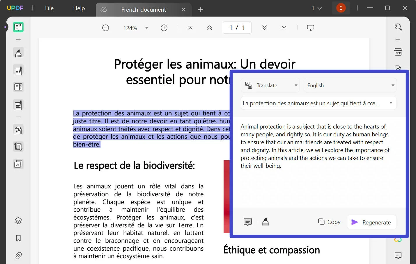 translate pdf from french to english