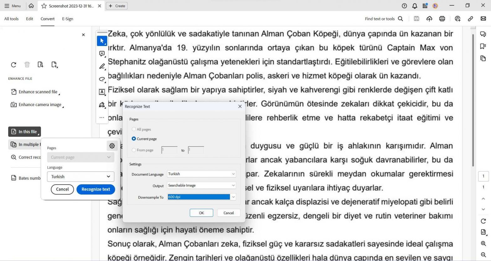 5 Best Turkish OCR Software （Detailed Comparison） | [Official] UPDF