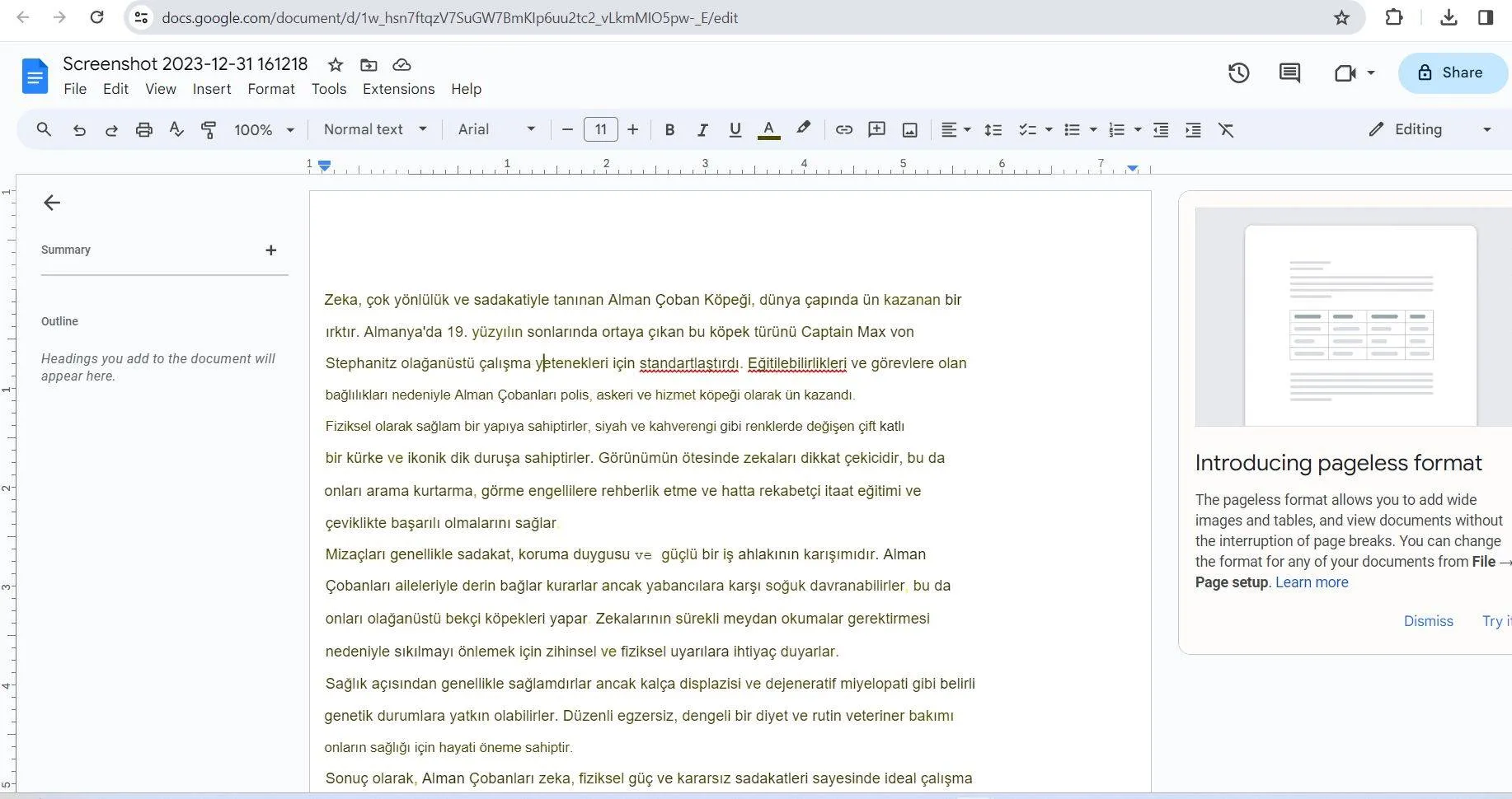 Turkish ocr google drive