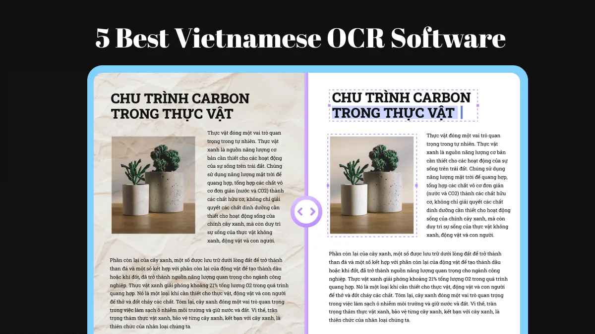 5 Best Vietnamese OCR Software (Easy and Accurate)