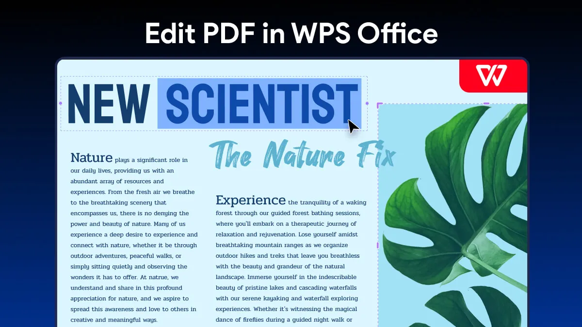 [Full Guide] How to Edit PDF in WPS Office?