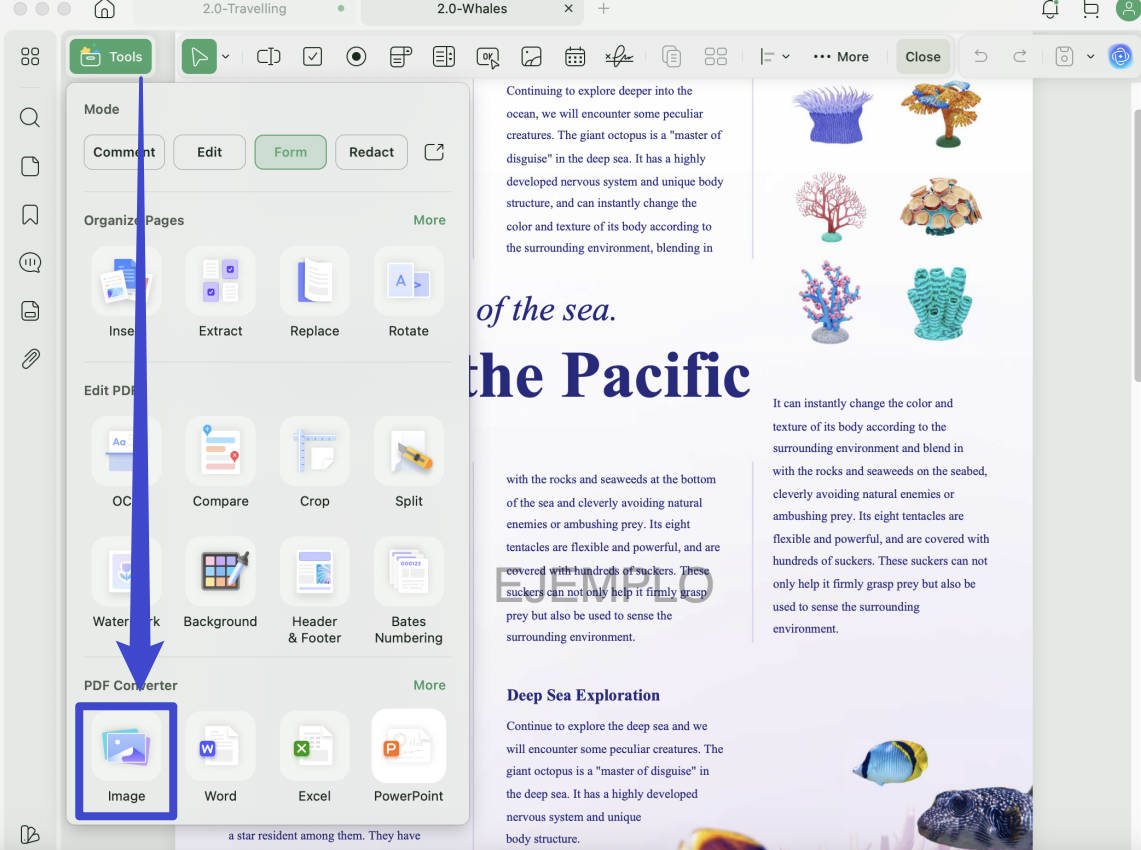 snapshot pdf pdf to image