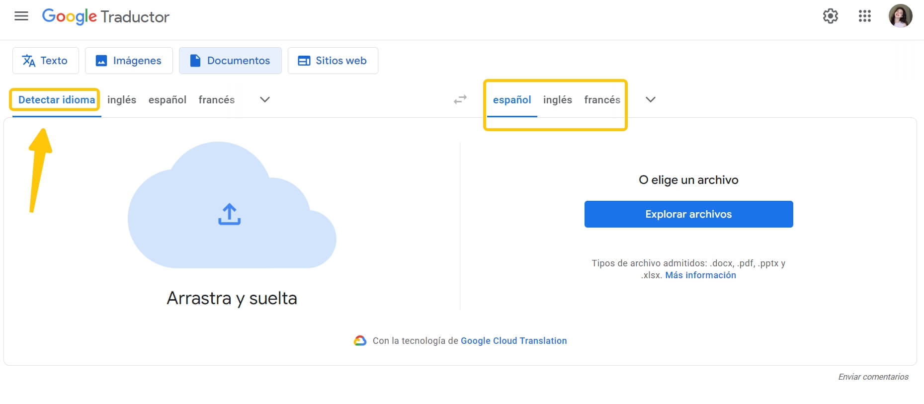 google translate pdf detect language