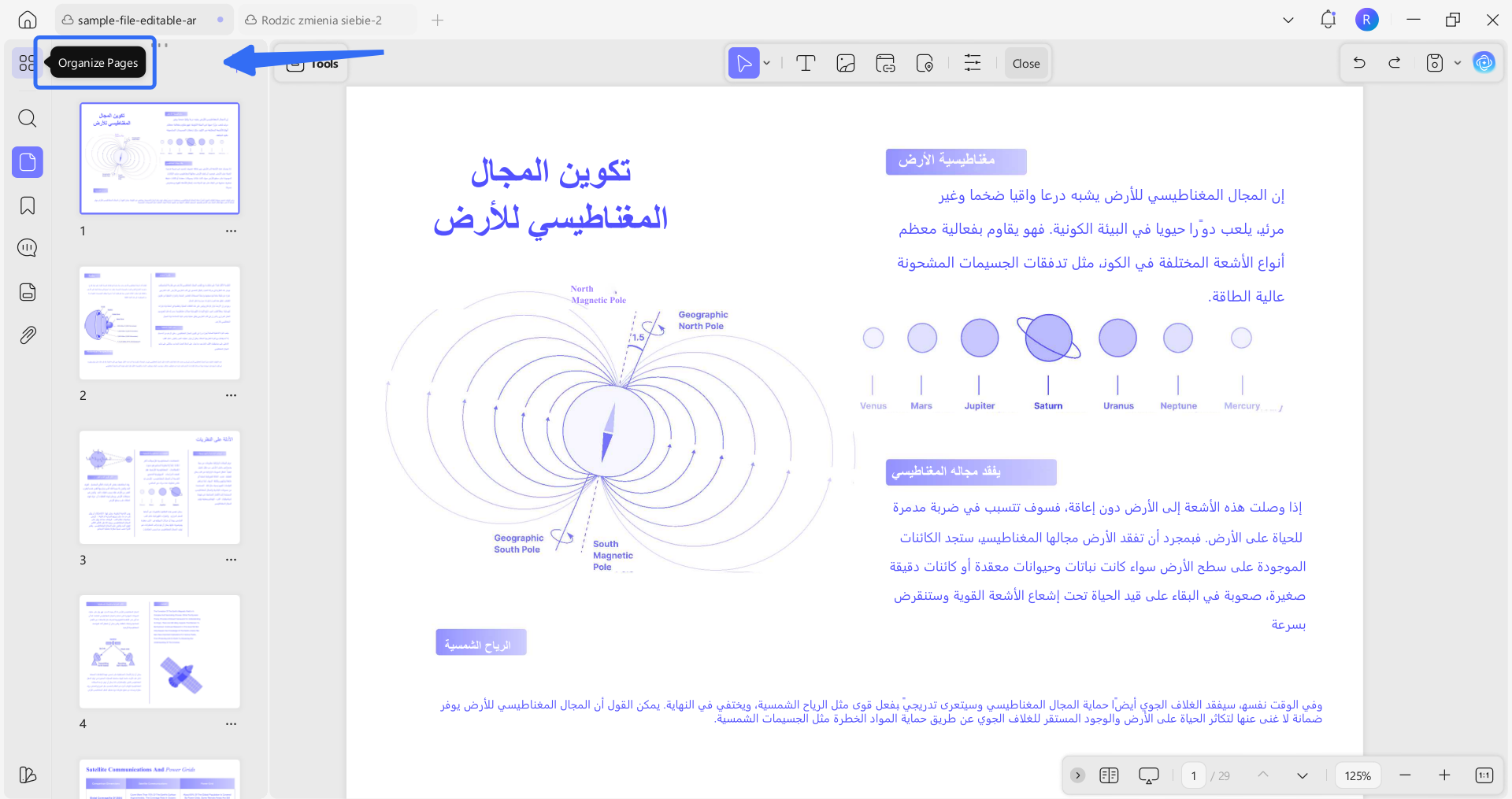 تنظيم الصفحات
