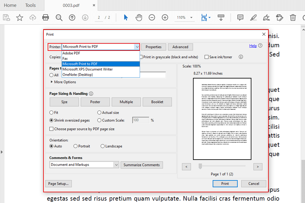 the document could not be saved bad parameter adobe print