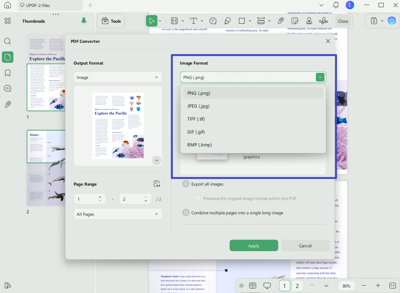 pdf vs png export to png