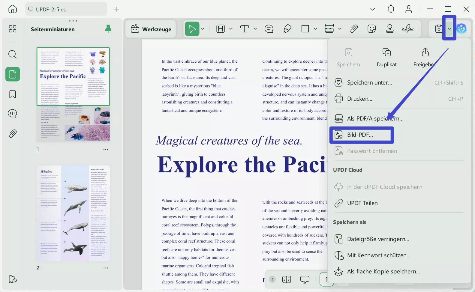 Bild PDF UPDF Windows