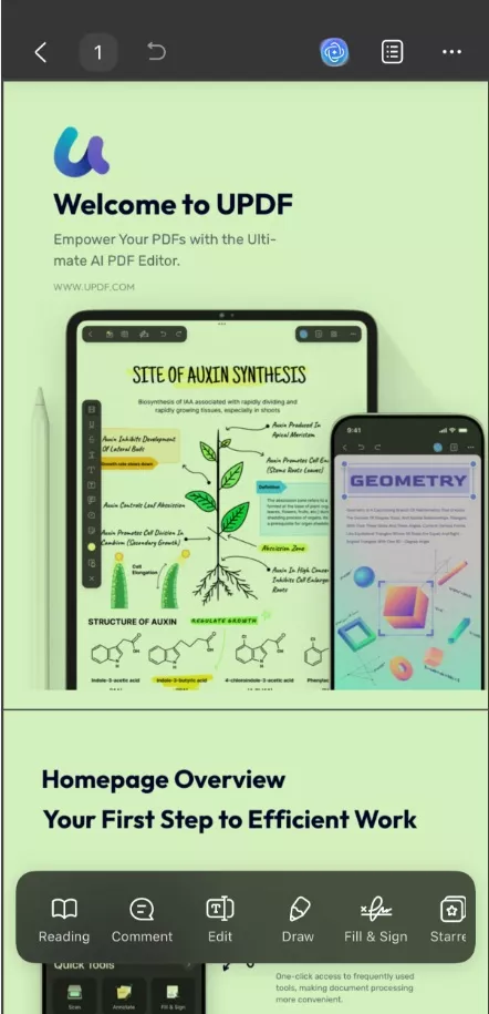 color of PDF has inveted