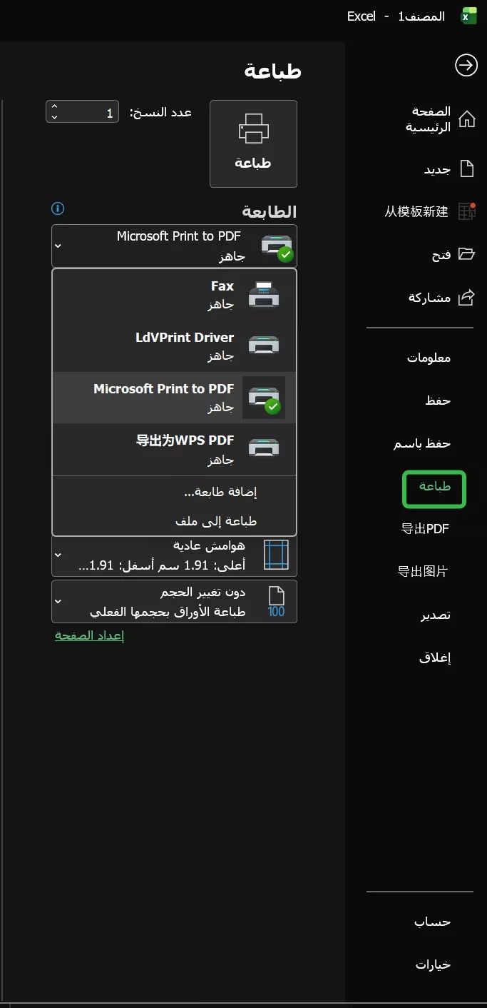 في مايكروسوفت إكسل