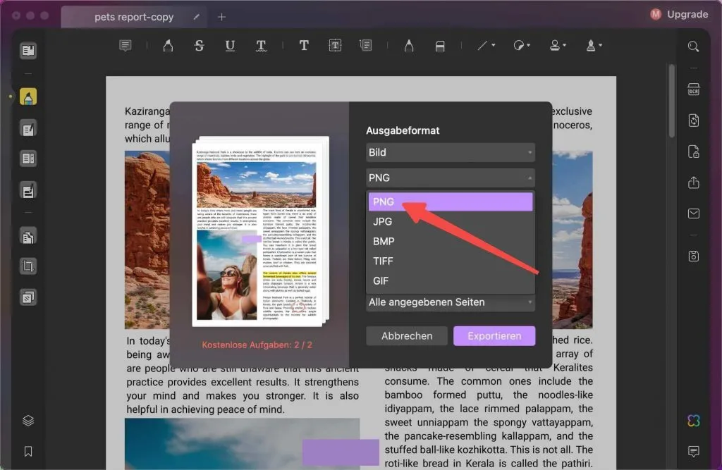 PDF in PNG exportieren mac