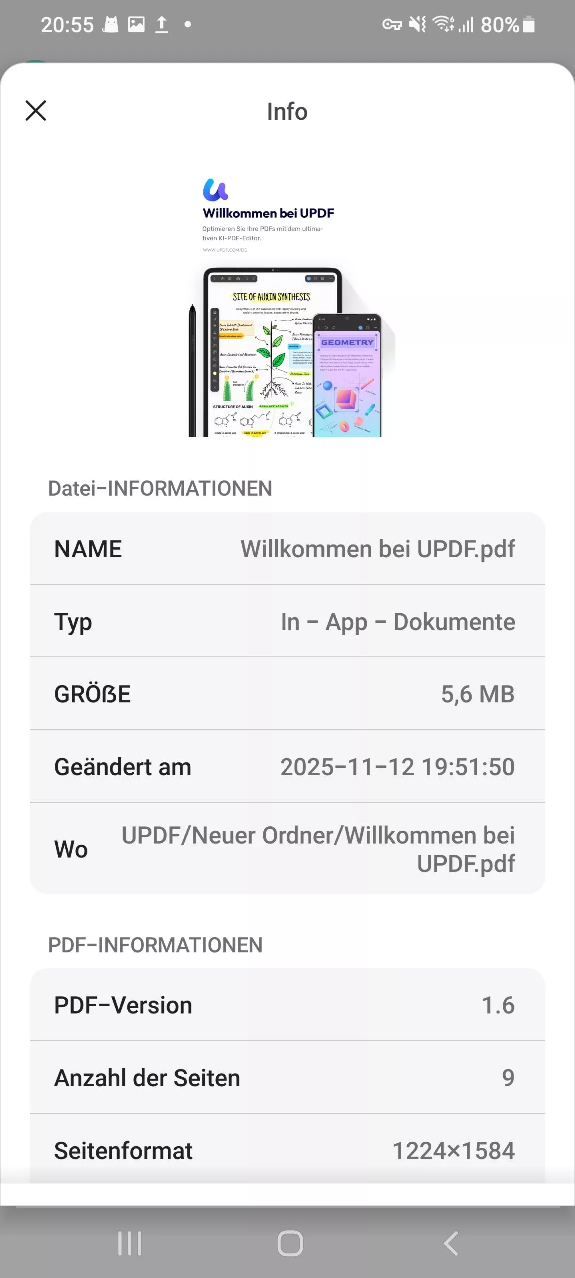 PDF-Informationen in UPDF auf Android
