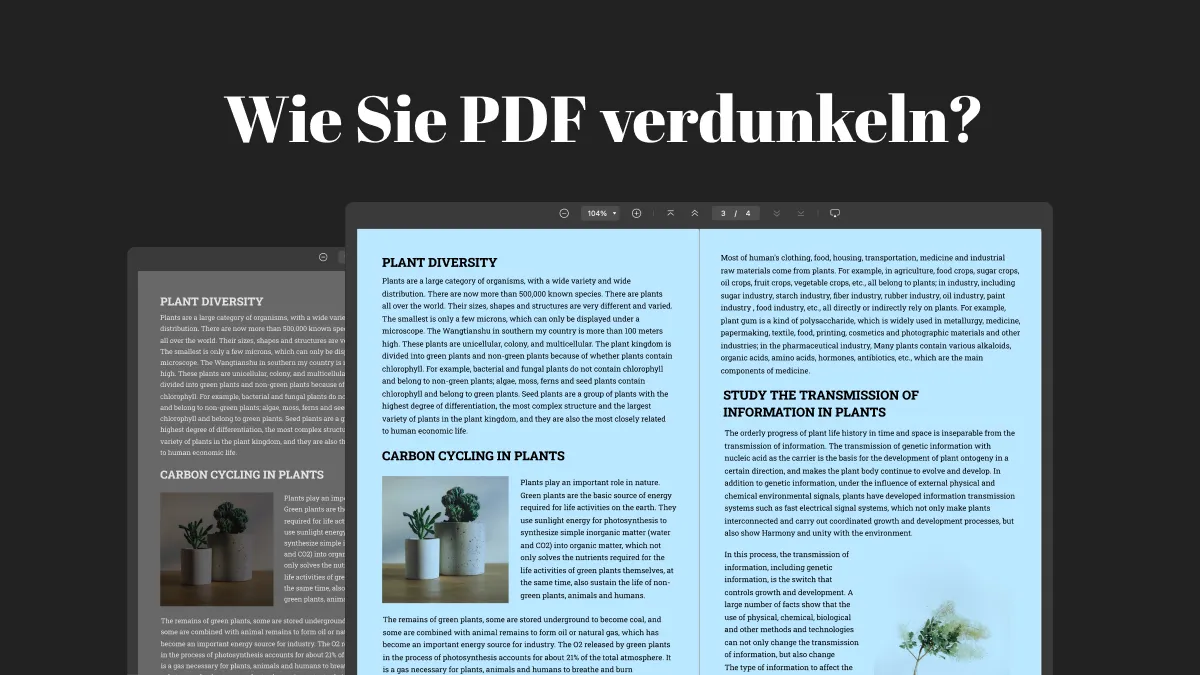 Wie Sie ein PDF verdunkeln können – Schritt-für-Schritt-Anleitung