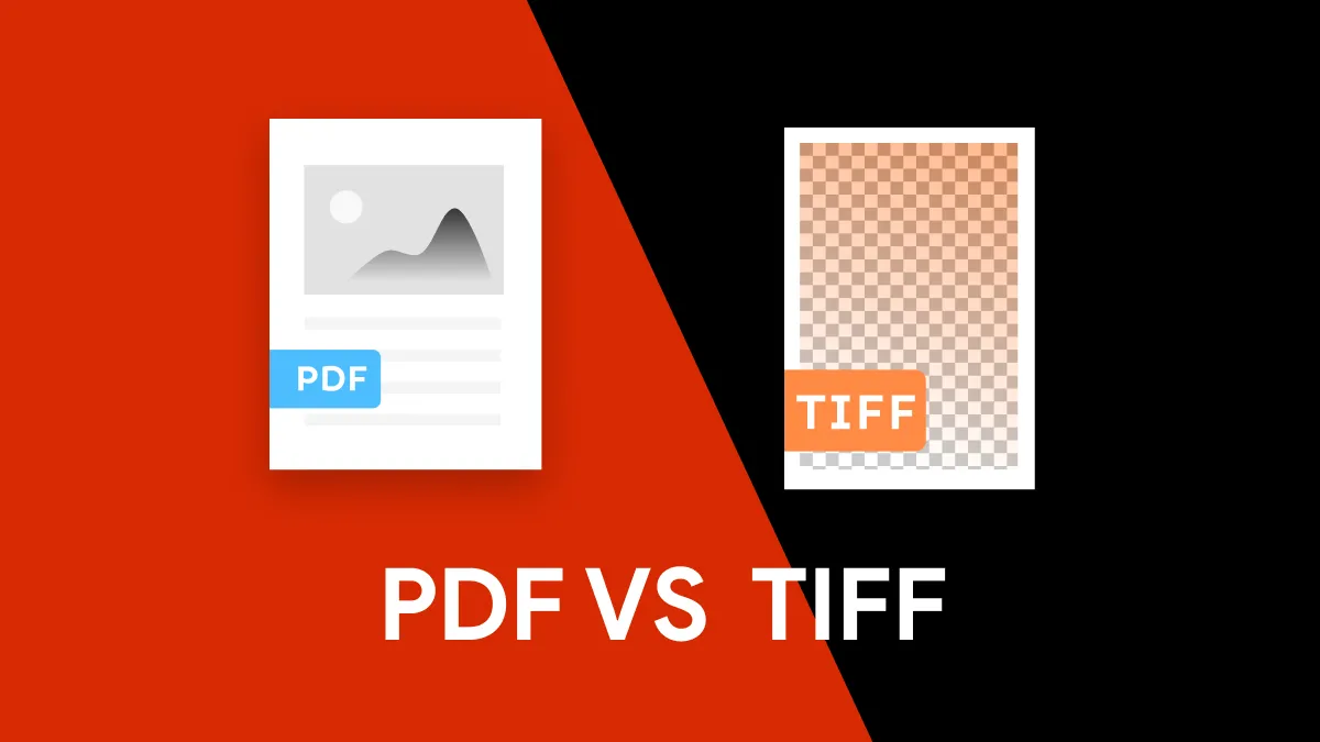 A Detailed Look at PDF vs. TIFF to Select the Best Format
