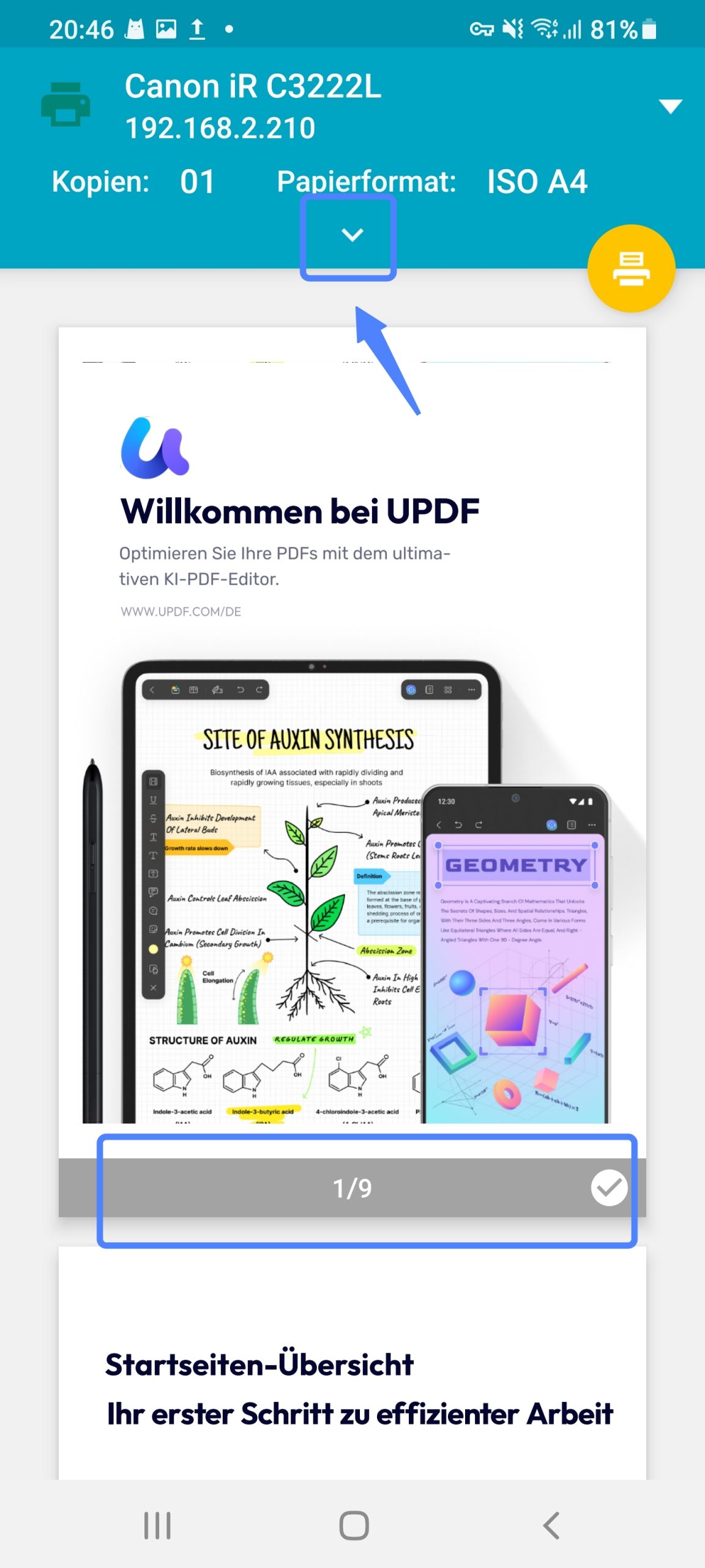 PDF-Datei drucken