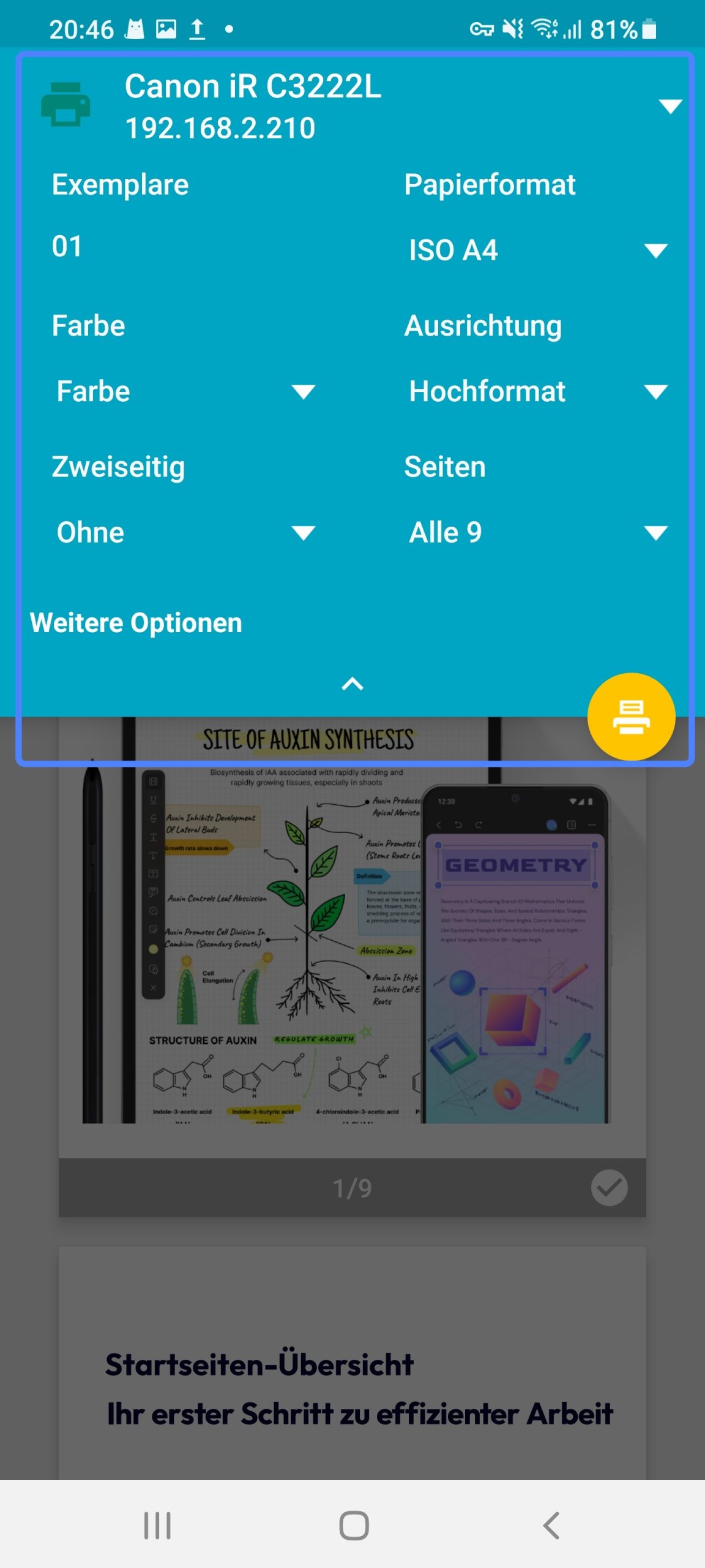 PDF-Datei drucken