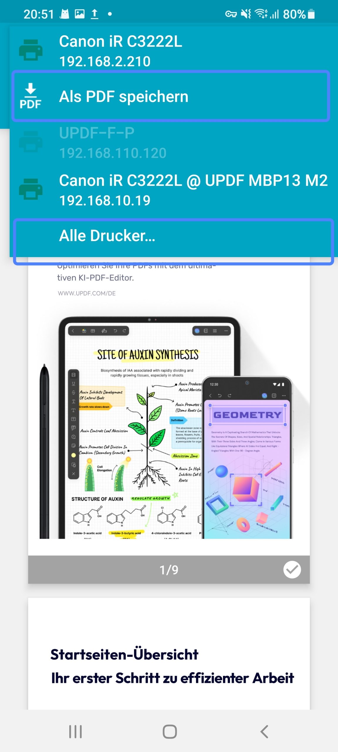 PDF-Datei drucken