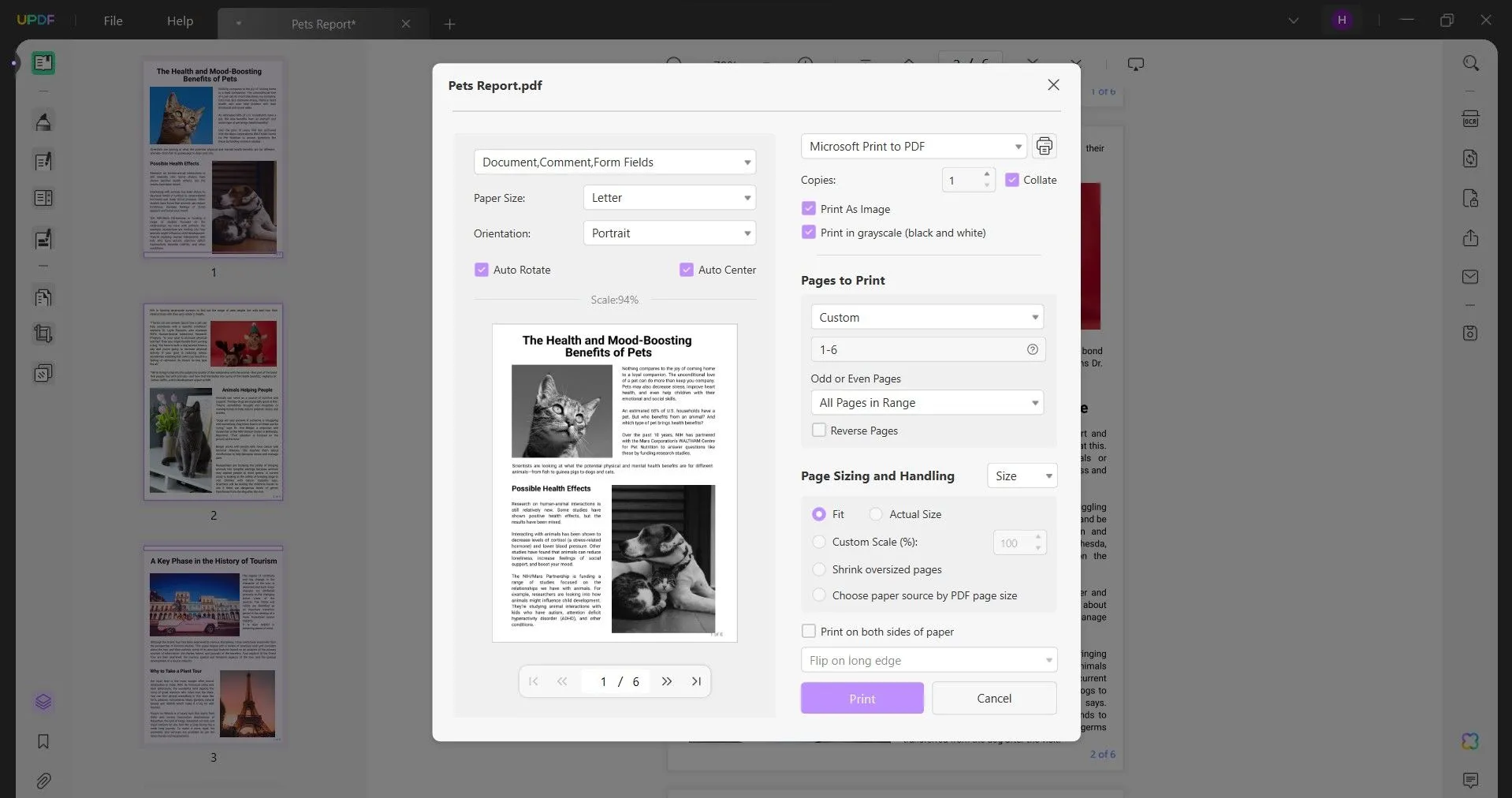 print pdf with page number print settings