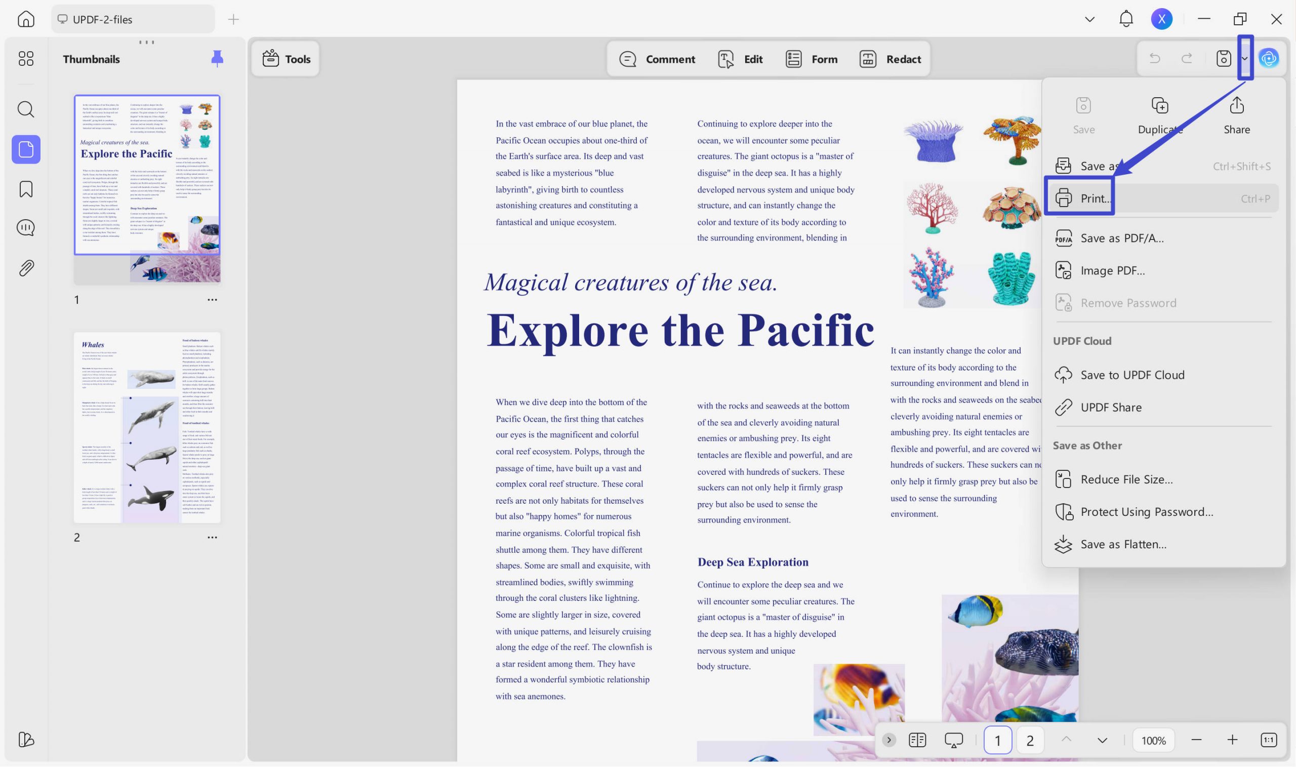 print pdf with page number file print