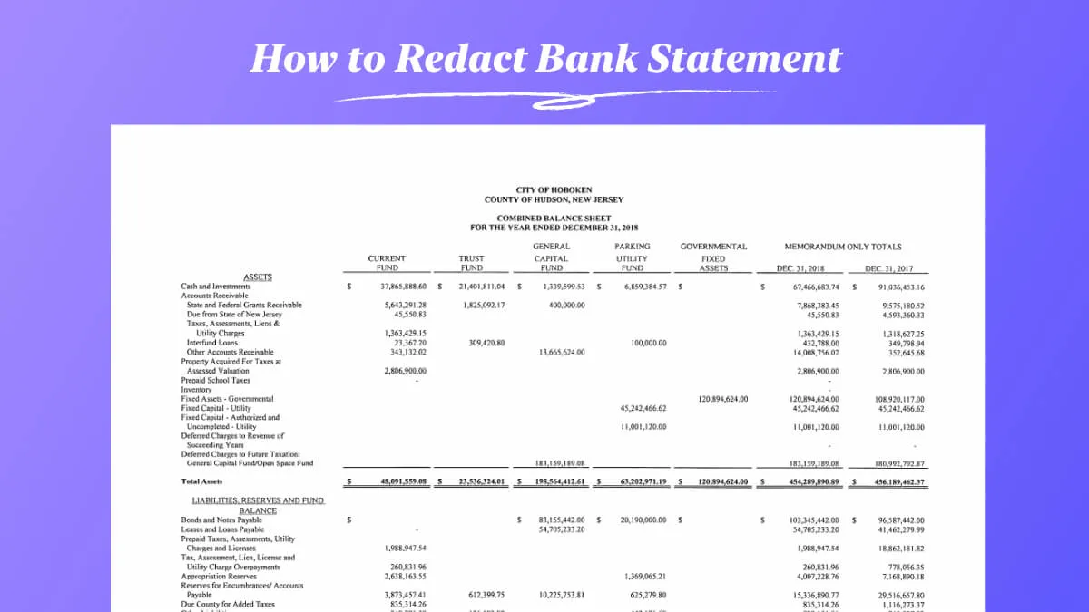 What is Redacted Bank Statement, and How to Redact a Bank Statement: With Steps and Example
