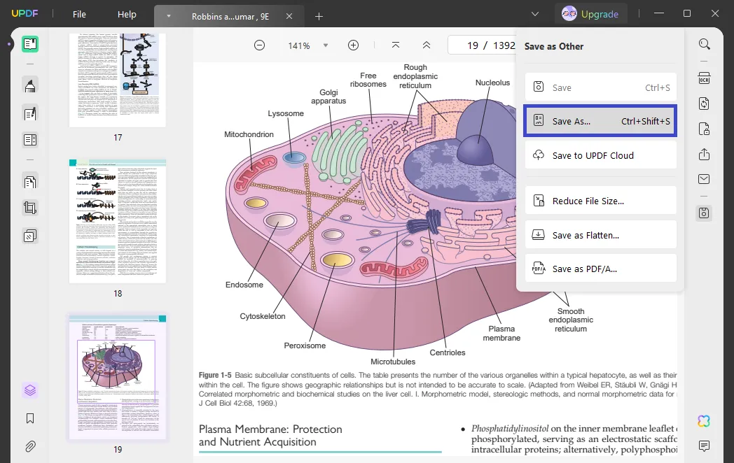 إعادة تسمية pdf اختر حفظ باسم.