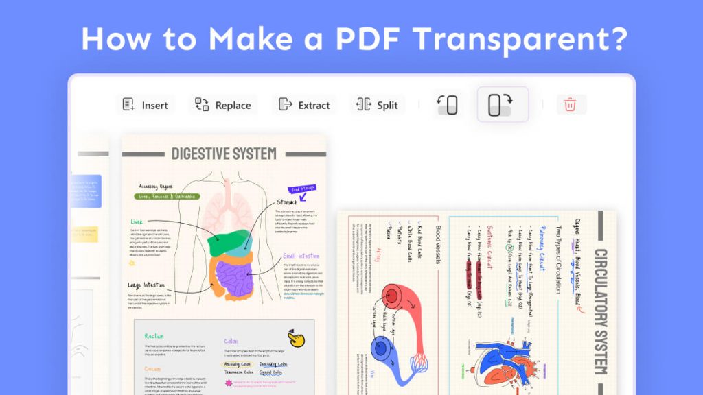 how-to-rotate-only-one-page-in-pdf-4-ways-updf