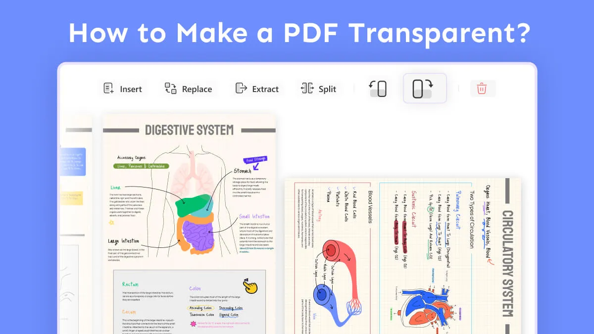 How to Rotate Only One Page in PDF? (Windows, Mac, Android and iOS)